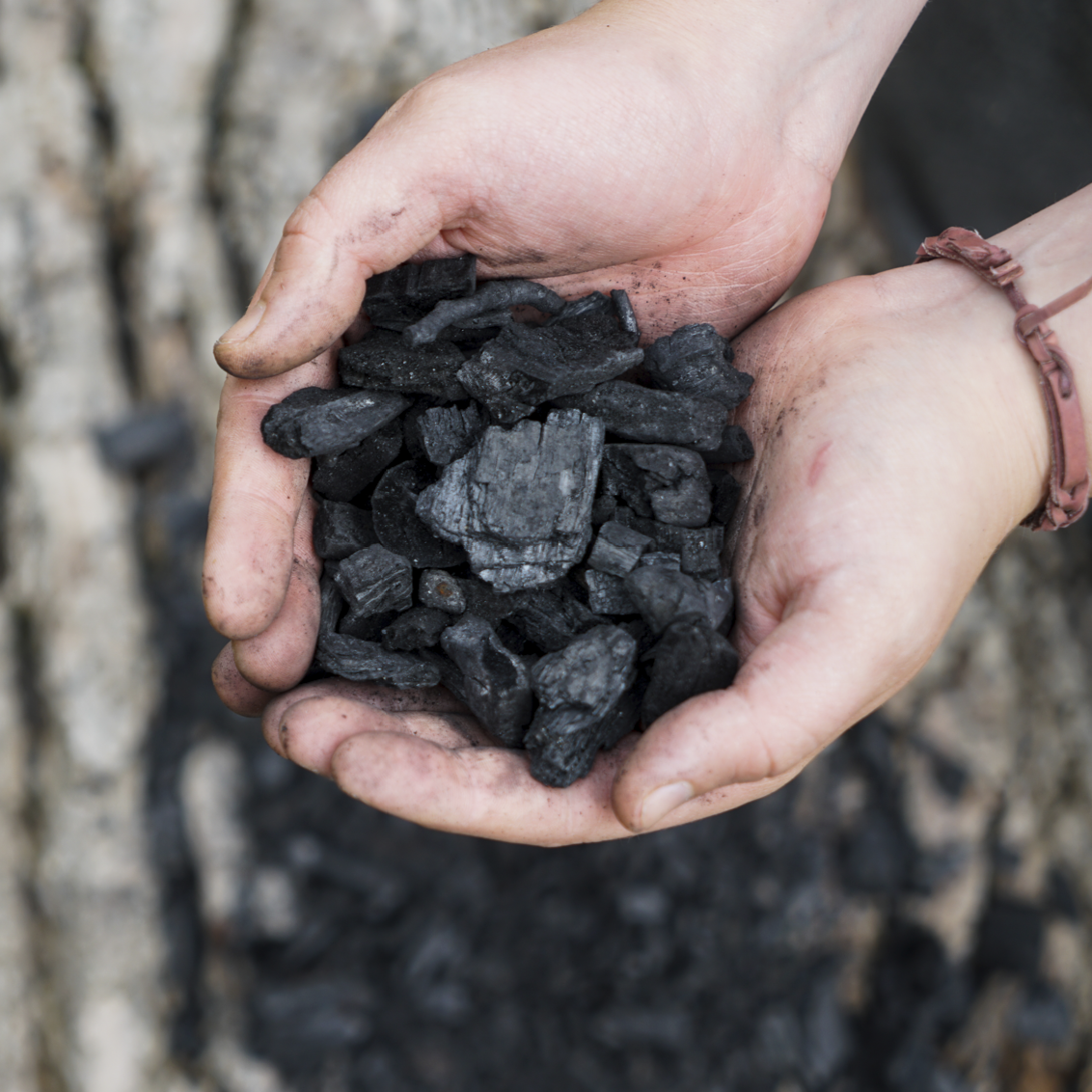 Raw Biochar – Ethically Sourced & Naturally Produced (Mixed Grade 0-20mm)